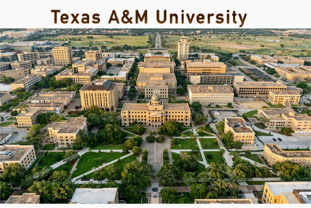 Fully Funded Graduate Assistantship in Plant Ecology at Texas A&M